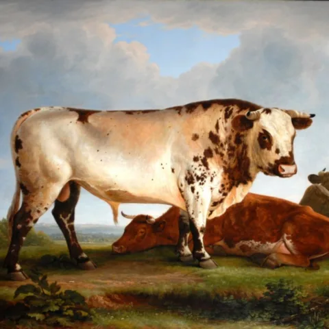 Image of painting of a bull