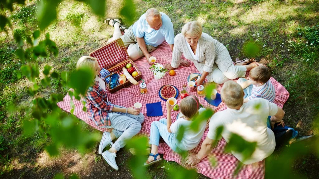 Image of a picnic