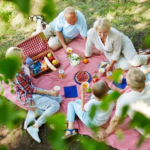 Image of a picnic