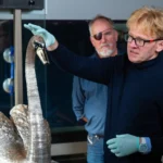 A person wearing teal gloves carefully touches the head and neck of a large silver swan automaton. Several other people stand nearby observing. The scene takes place in a workshop or conservation space, with tools and equipment visible in the background.