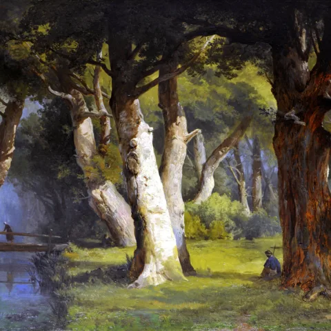 Study of Birch Trees, Josephine Bowes