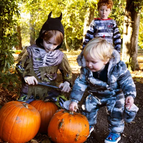 Kids and pumpkins