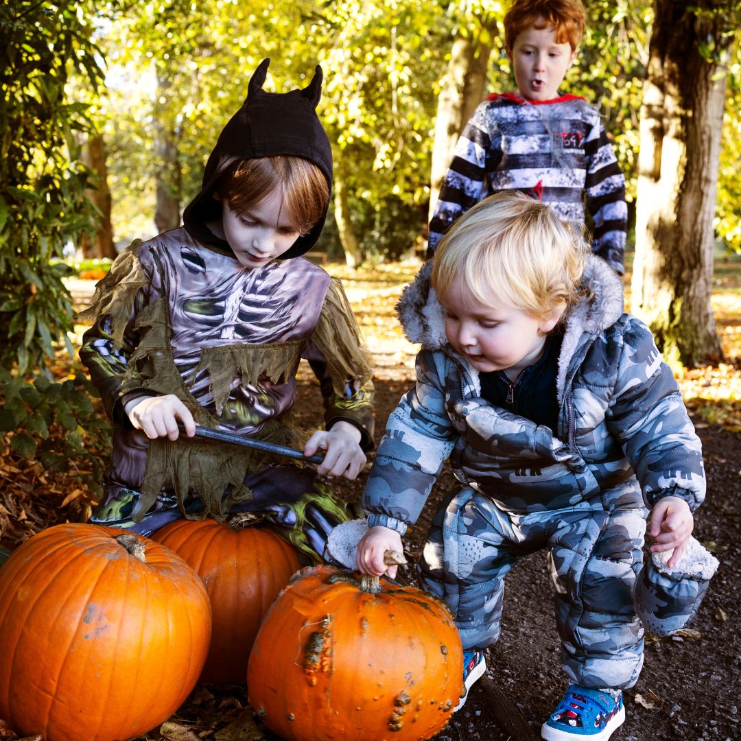 Halloween Family Fun Day - The Bowes Museum : The Bowes Museum