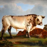 Painting of a Durham bull