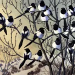 Image of a 20th century painting of magpies by Charles Frederick Tunnicliffe