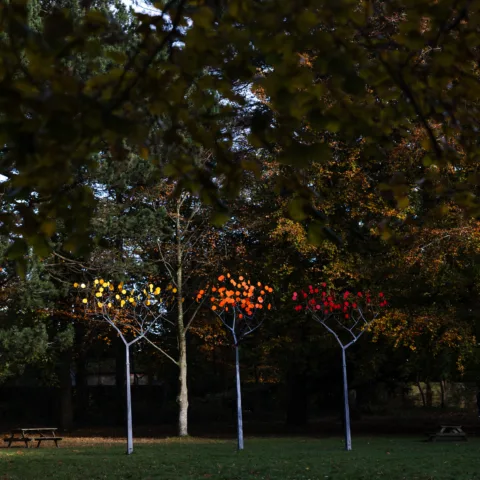 Kinetic Arboretum in its new home in the Wildflower Meadow