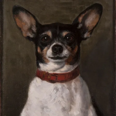 Picture of a painting of a jack Russel by Joséphine Bowes