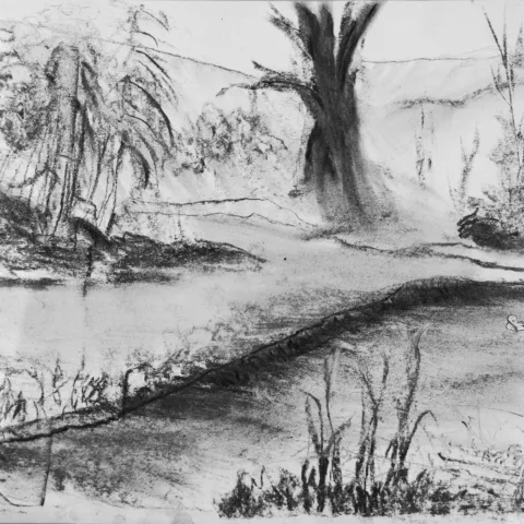 A charcoal sketch of trees surrounding a river.