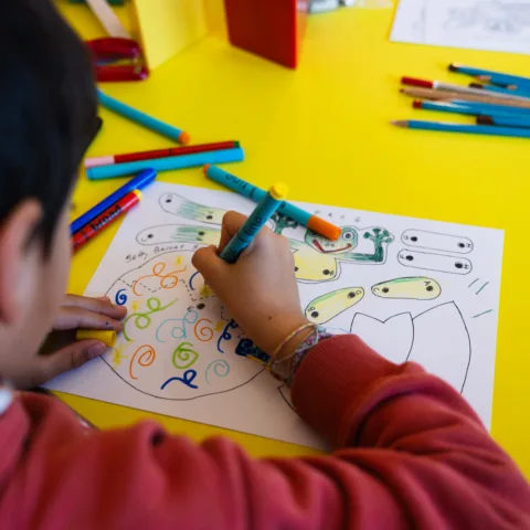 A boy colouring in, using a felt tip.