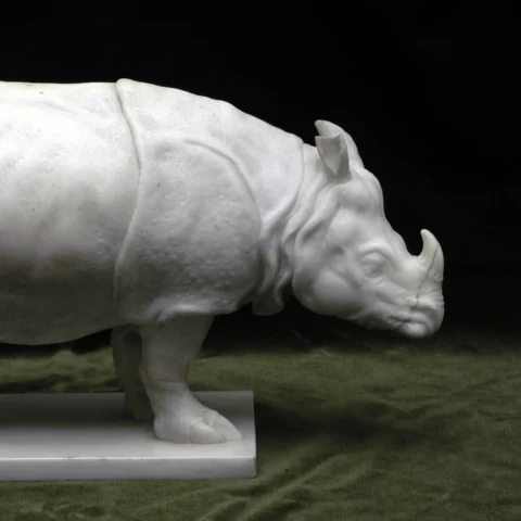 The rhinoceros in The Bowes Museum’s collection is thought to be an image of Clara, an Indian rhinoceros brought to Europe in 1741 by the Dutch sea captain Douwemout Van der Meer