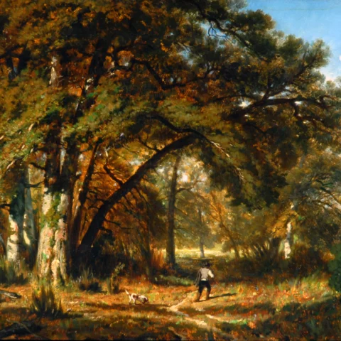 A landscape painting of a woodland during autumn. In the foreground a large tree takes the focus with yellow, orange and green leaves. In the background a figure wears a white trouser and black pants walking through the forest.