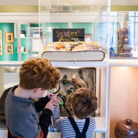 Two young children examine a small museum display case in the Curiosity Gallery using magnifying glasses. The display contains botanical elements. Around them are various museum objects, including textiles and vintage instruments, all arranged in bright, modern exhibition shelves.